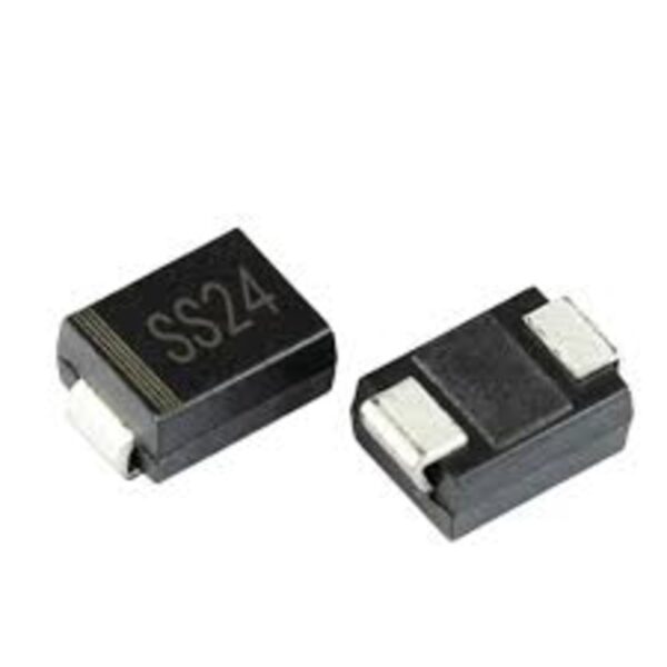 SS24